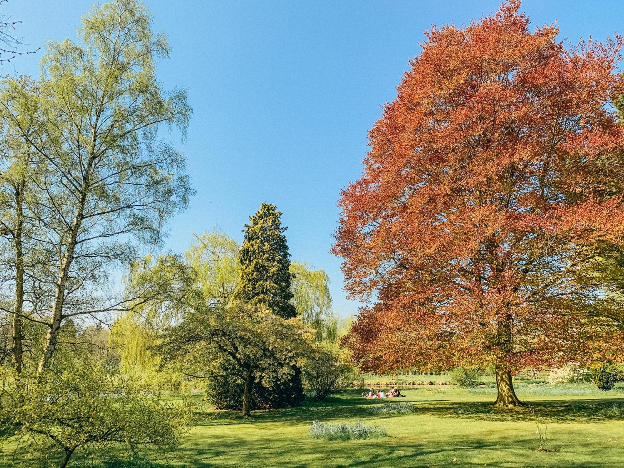 Вилла West Lexham Кингс-Линн Экстерьер фото